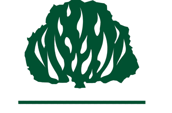 Sarça